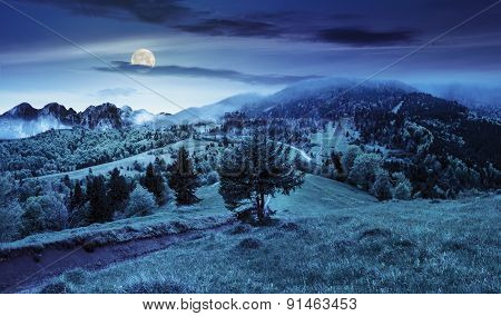 Fog Around The The Castle On Mountain Hill At Night