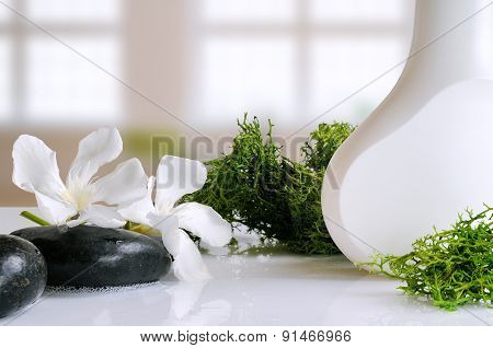 Beauty Product With Seaweed In A Bath