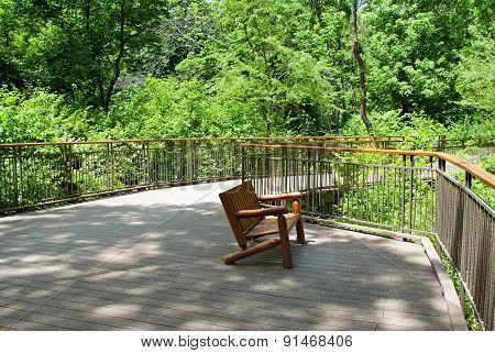 Park Deck Area in Woods