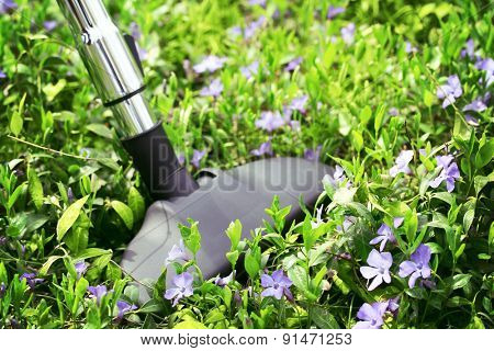 Metal pipe of vacuum cleaner in action - clean carpet of real green grass. Ecology concept 