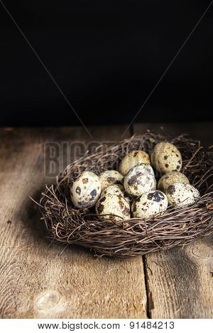 Moody Natural Lighting Vintage Retro Style Image Of Quaills Eggs
