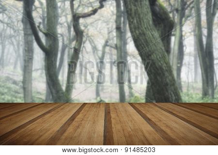 Landscape Of Forest With Dense Fog In Autumn Fall With Wooden Planks Floor