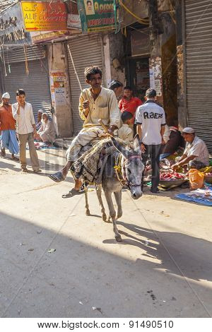 Donkey Rider Transports Goods At Chhawri Bazar