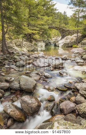 Genoese Bridge Over Tartagine River In Northern Corsica