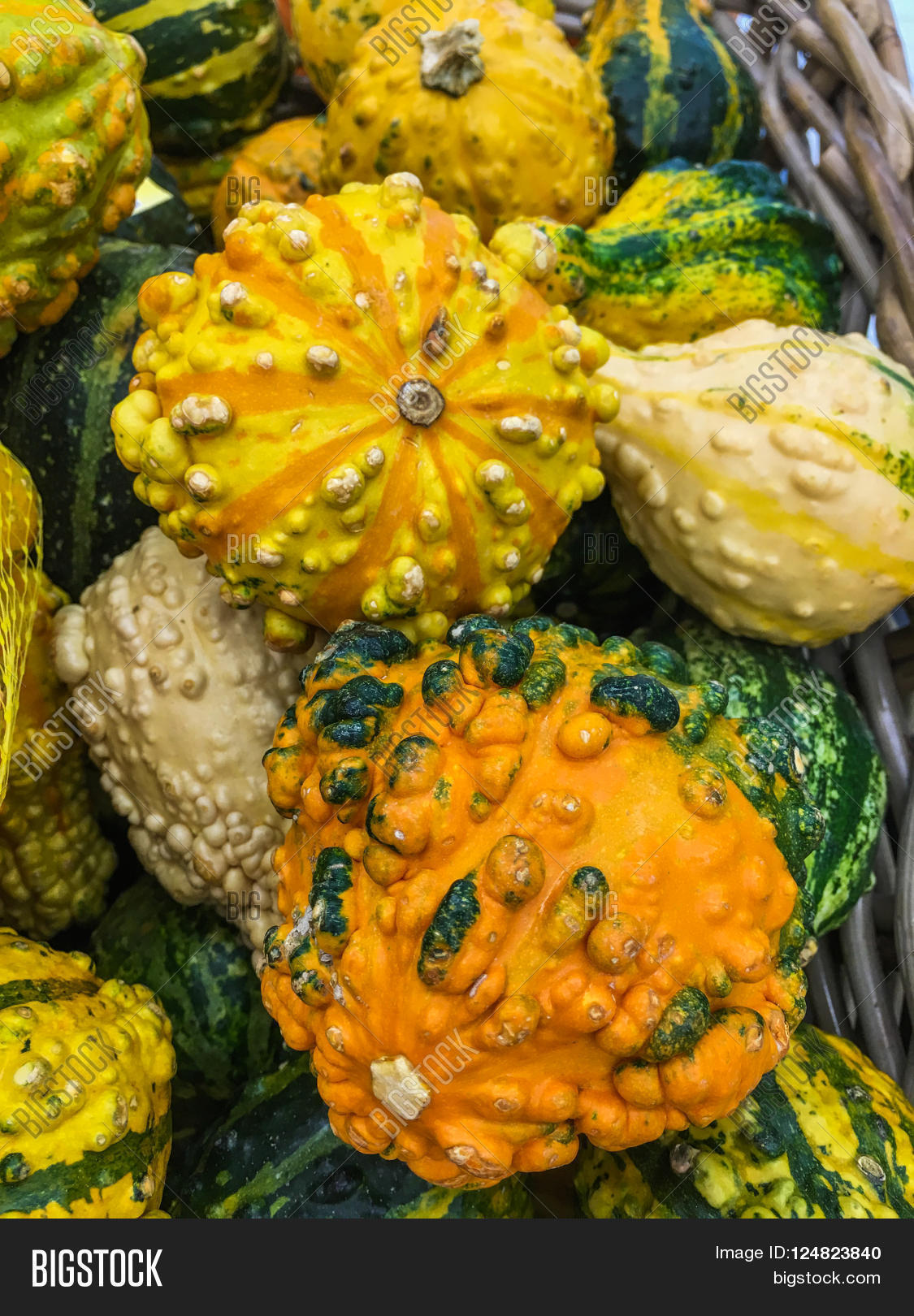 Yellow Ripened 图片和照片（免费试用） | Bigstock