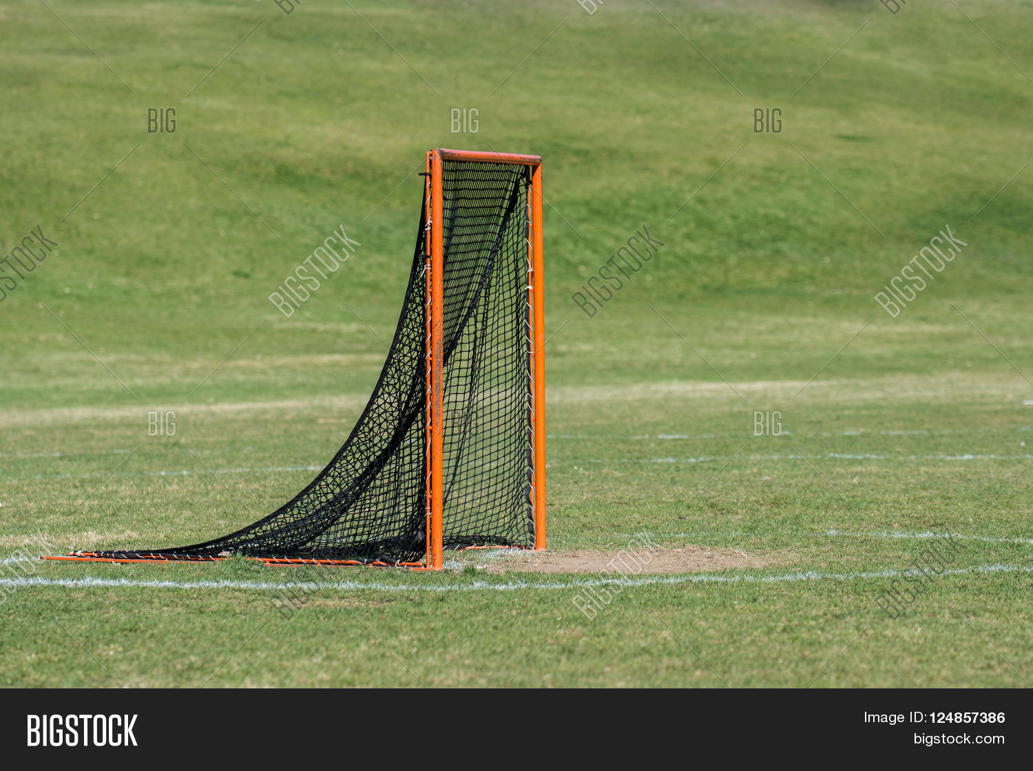 Single Lacrosse Goal Image & Photo (Free Trial) Bigstock