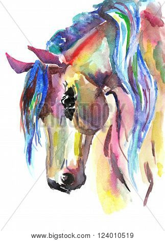 Horse head. Color bright watercolor illustration. Paint.