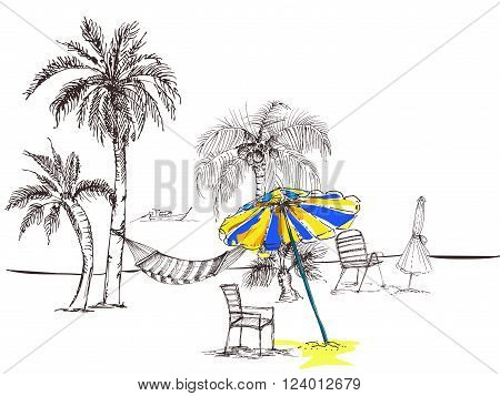 hand drawn ink vector illustrations silhouette of palm trees. Set of palm tree silhouettes on white background.