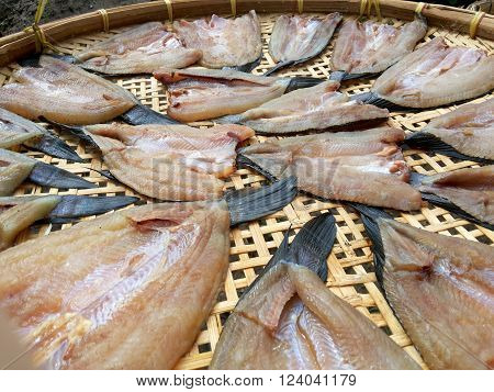 close up dry striped snakehead fish raw food