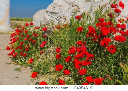 Ruins of ancient Laodicea on the Lycus, Denizli Province, Turkey