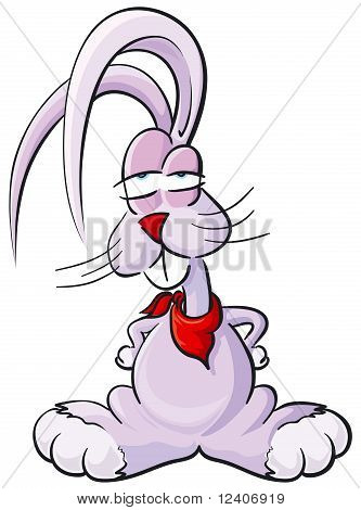 Bunny