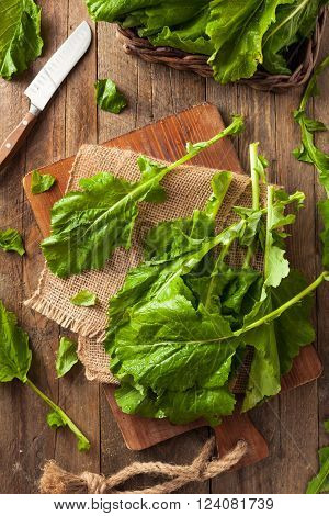 Raw Organic Turnip Greens Ready to Eat