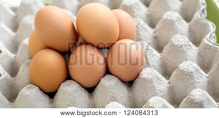 Eggs are laid on the paper tray for background