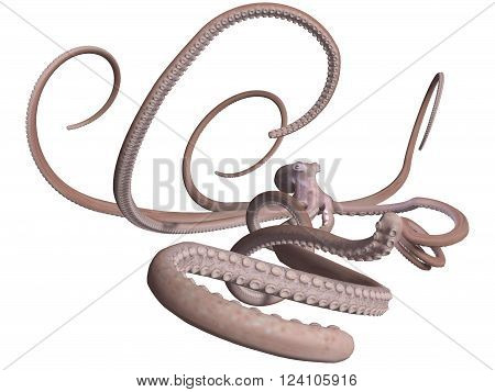 3D render of a giant Octopus isolated on white background.