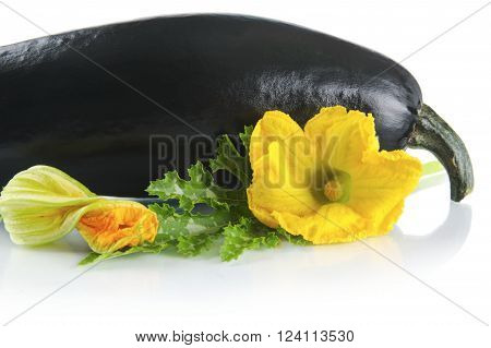Black courgette with flowers on white with leaf