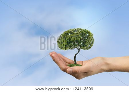 Green eco life 