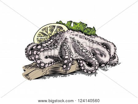 Drawing of raw octopus with fresh lemon and lettuce on the wooden board