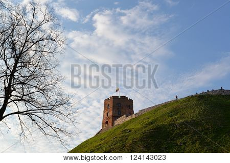 Tower of a gedeminas on the hill in the summer the bottom view