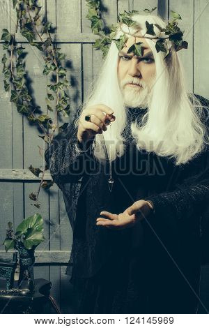 Zeus In White Wig