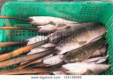 Fresh Fish For Salt-crusted Grill