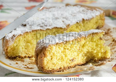 slice of homemade sponge cake with icing sugar