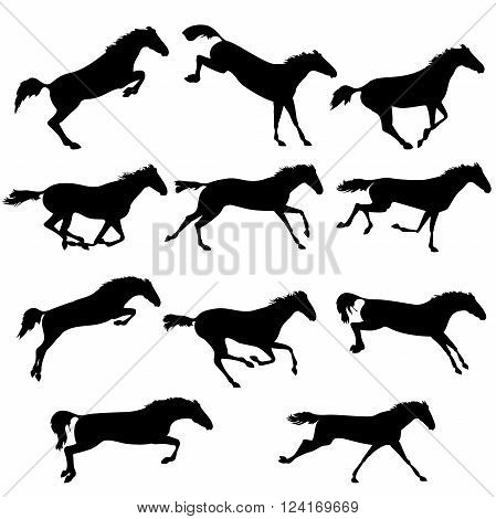 Set of wild horses. Vector horse collection. Silhouettes of horses. Collection of horse race jump run. Black and white vector illustration with eleven horses