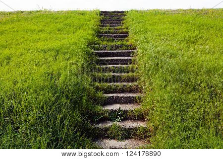 Stone Stairs In Grass