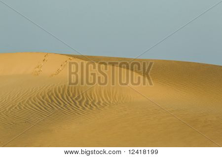 Dune med mund Prints