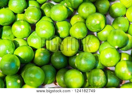 Fresh lime fruit from the bed of garden