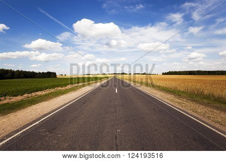 Rural Asphalted Road In The Summer. Road Through The Field
