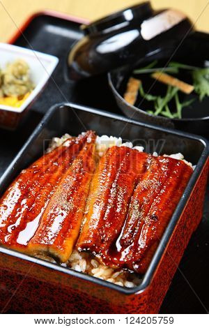 typical Japanese dish broiled eels on rice 