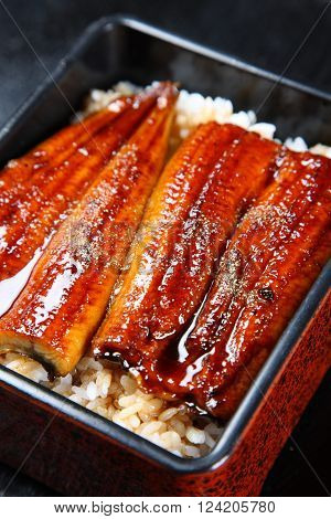 typical Japanese dish broiled eels on rice 