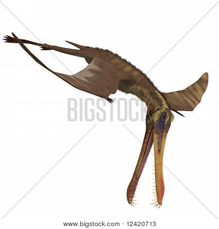 Dinozaur Anhanguera pterozaurów