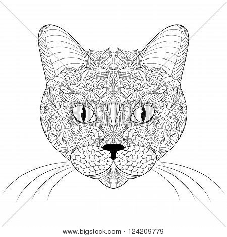 Vector illustration of head of cat on white background.Coloring page.