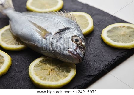 Presentation Of Fresh Sea Bream Isolated On Rounded Lemon Clices On Black Stone Pads On White Tables