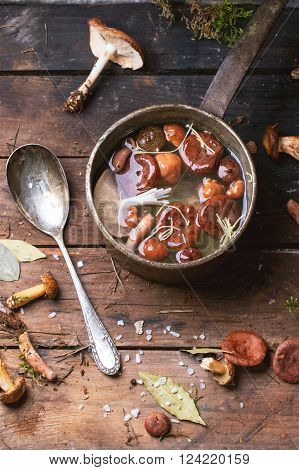 Mushrooms Soup