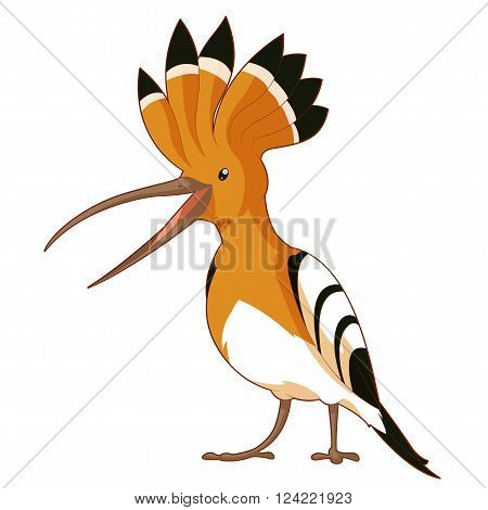 Vector image of the Cartoon  smiling Hoopoe