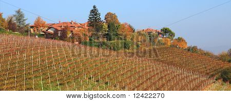 Italian Village And Vineyards.