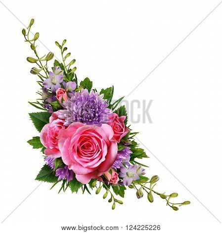 Aster and rose flowers corner arrangement isolated on white