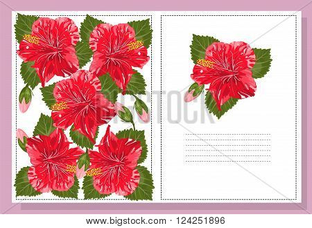 Beautiful background hibiscus flower with space for text. Vector. EPS 10