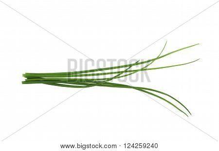 Green onion scallions isolated over the white background