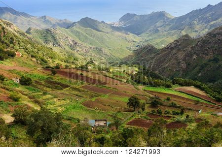 Beautiful Tenerife Landscape - Anaga Mountains