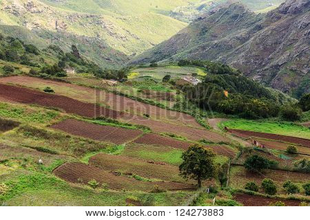 Beautiful mountain landscape on tropical island Tenerife, Canary in Spain. Breathtaking scenery from Anaga mountains.