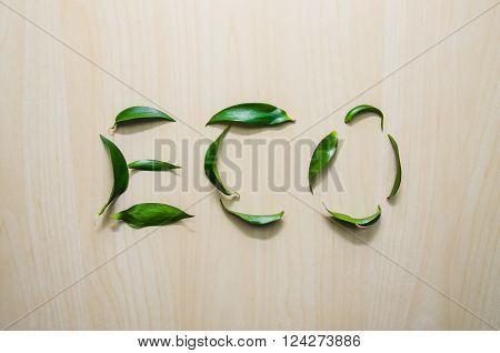 Word Eco made with leaves of ruscus flower at wooden rustic wall background. Still life, eco style. Healthcare concept, top view.