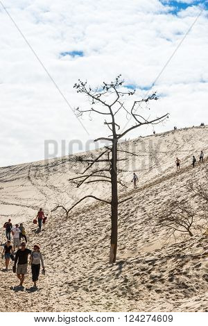 People Visiting The Highest Sand Dune Of Pyla In Europe