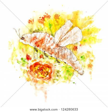 Cute character - roisterer flies on solar background meadows