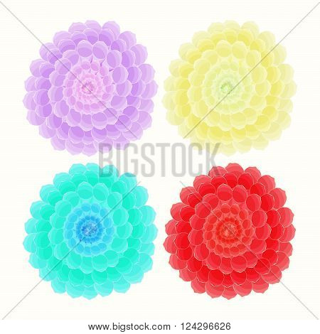 beauty dahlia flower on a light background.vector illustration