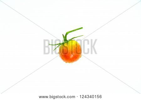Isolate sweet tomato in my organic garden at Trang Thailand.