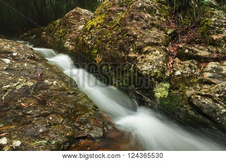 Goomoolahra creek at Springbrook National Park in Queensland.