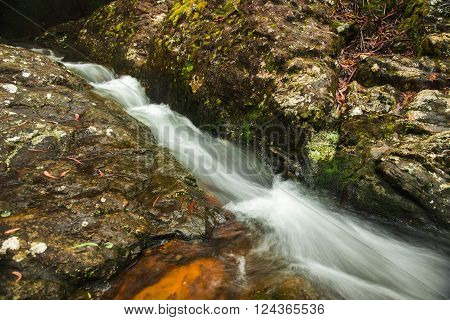 Goomoolahra creek at Springbrook National Park in Queensland.
